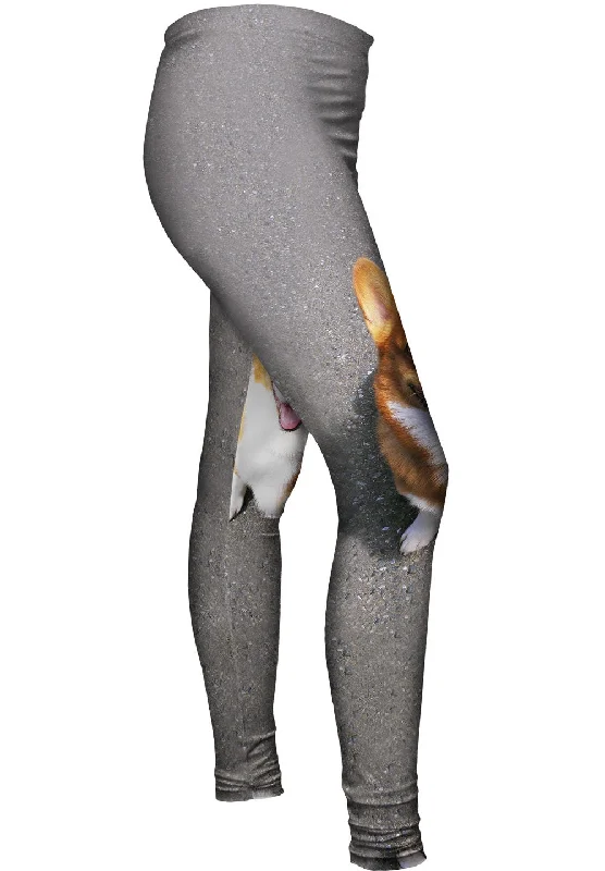 Exquisite Tailoring Huggable Corgi